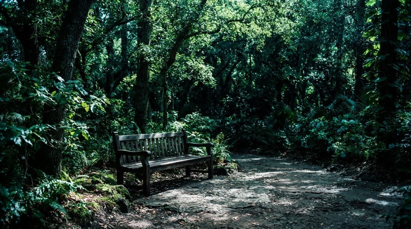 Magic Kingdom Autism Guide for a Calmer Park Day A shaded bench sits beneath leafy trees in dappled sunlight.